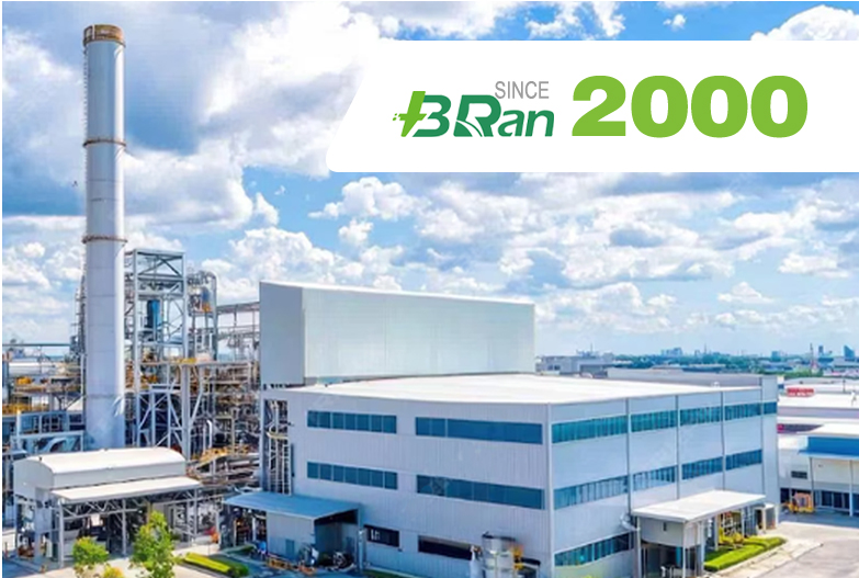 Hebei Boran Medical Technology  Co., Ltd.